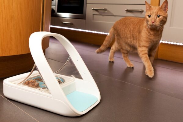 Automatic Cat Feeder Market Is Projected To Have Moderate Growth In Upcoming Years 2022-2032