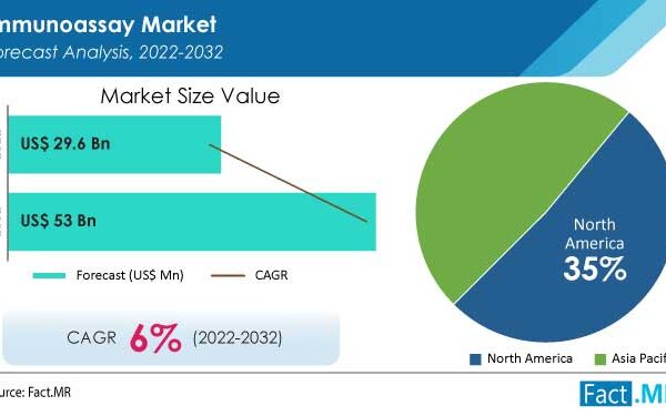 Immunoassay Market Demand Is Likely To Surge At A 6% CAGR By2032