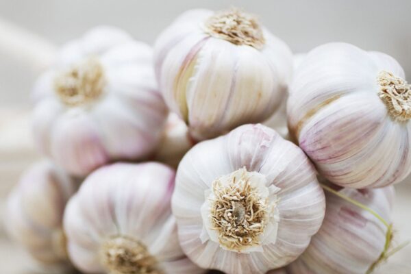 Garlic Market Emerging Trends, Technology and Growth 2021 to 2031