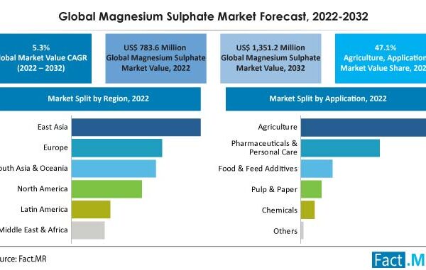 Magnesium Sulphate’s use as Raw Material across Industries to Ensure Long Term Growth, States Fact.MR
