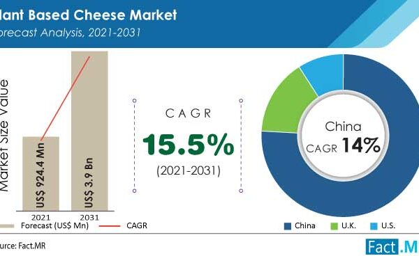 The Plant Based Cheese Market Is Likely To Register A CAGR Of 15.5% By 2031