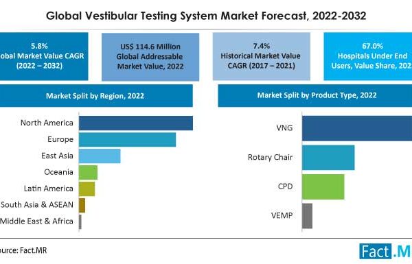 Global Demand For Vestibular Testing Systems Experienced Significant Growth At 5.9% CAGR By 2031