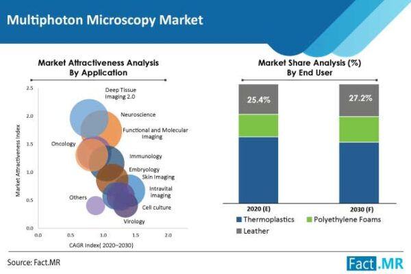 Multiphoton Microscopy Is Likely To Increase At A CAGR Close To 5% By 2032